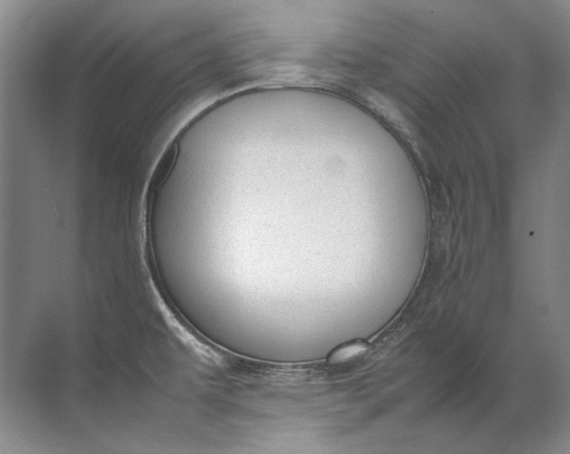 X0000072531479200607290211