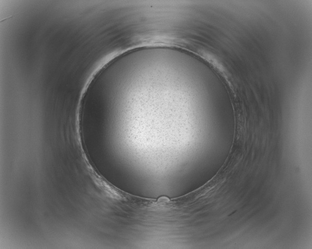 X0000072531480200607290211