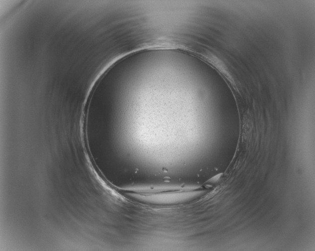 X0000072531484200607290211