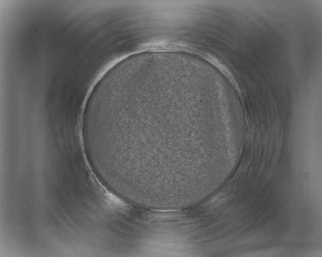 X0000072531486200607290211