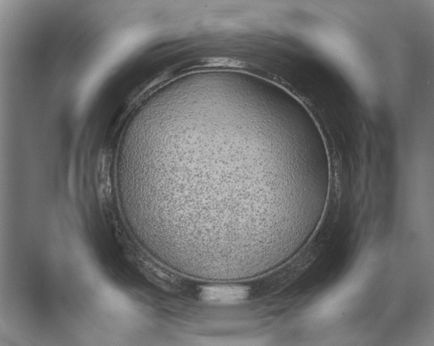 X0000072531487200607290211