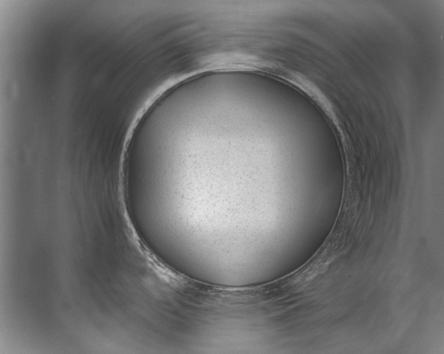 X0000072531488200607290211