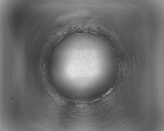 X0000072531489200607290210