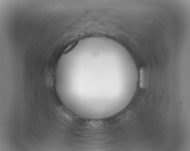 X0000072531491200607290210