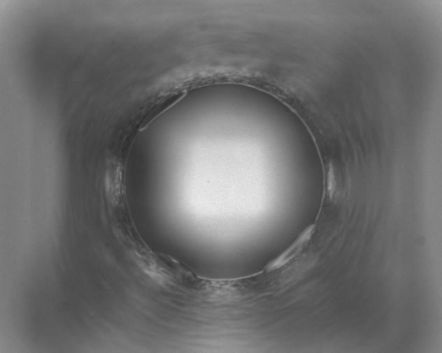 X0000072531492200607290210