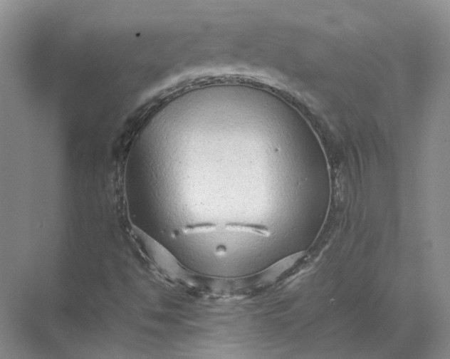 X0000072531494200607290210