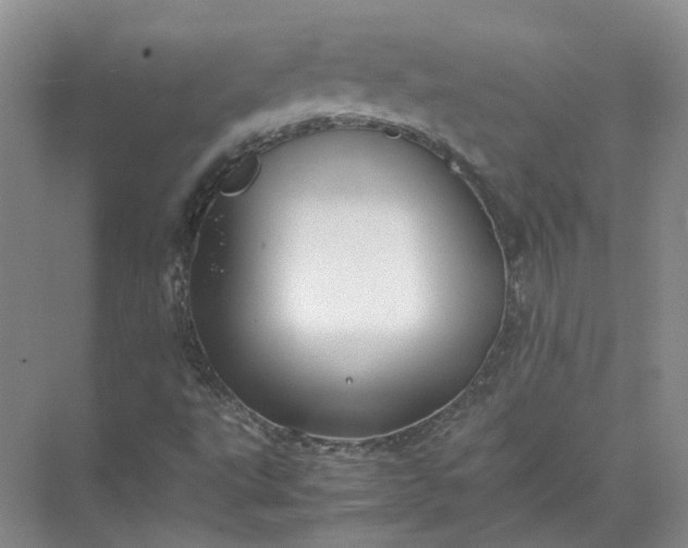 X0000072531495200607290210