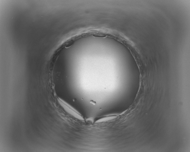 X0000072531496200607290210