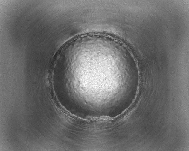 X0000072531497200607290210