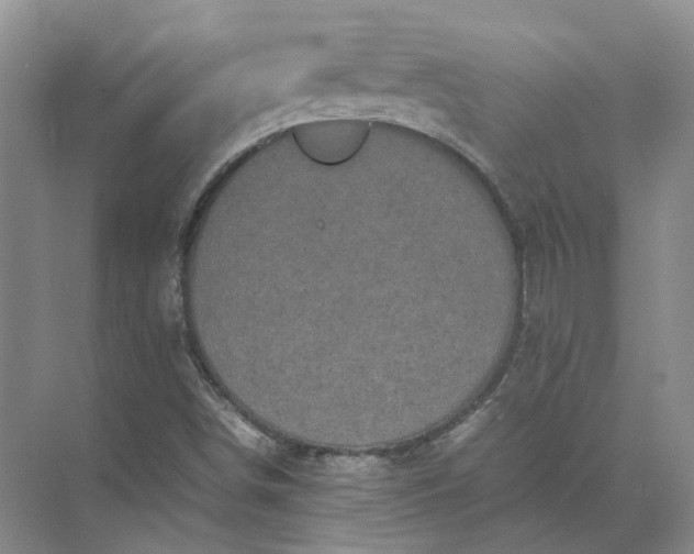 X0000072531498200607290210