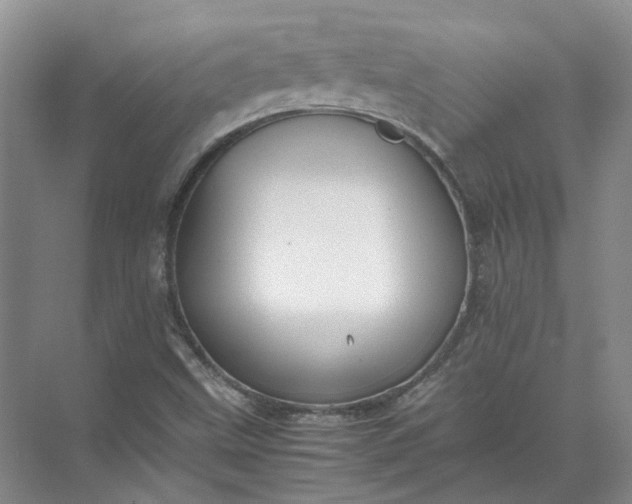 X0000072531499200607290210