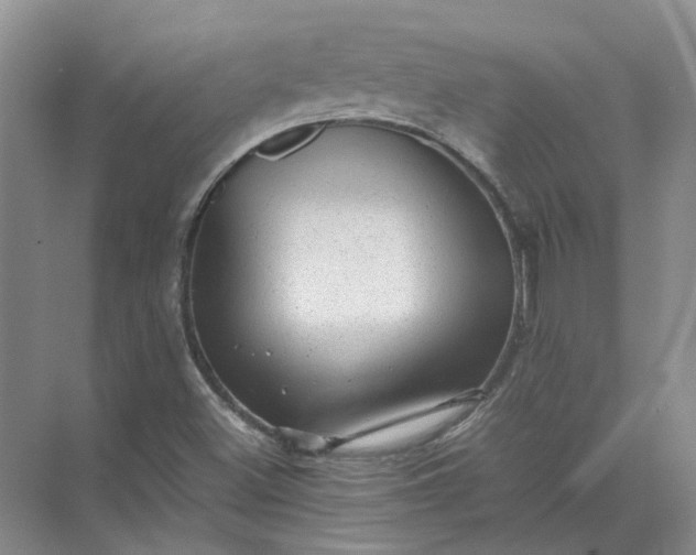 X0000072531500200607290210