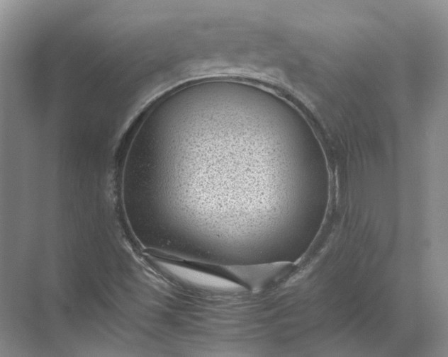 X0000072531501200607290211