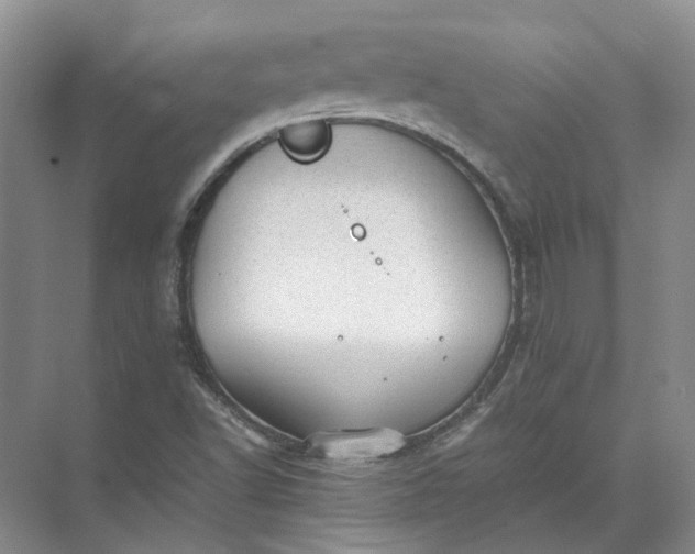 X0000072531502200607290211