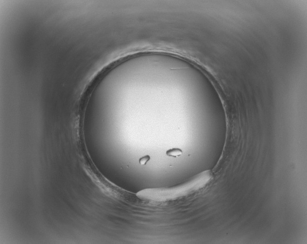 X0000072531503200607290211