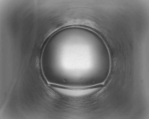 X0000072531505200607290211