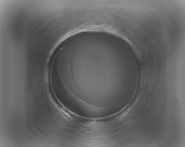 X0000072531506200607290211