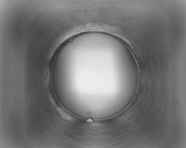 X0000072531507200607290211