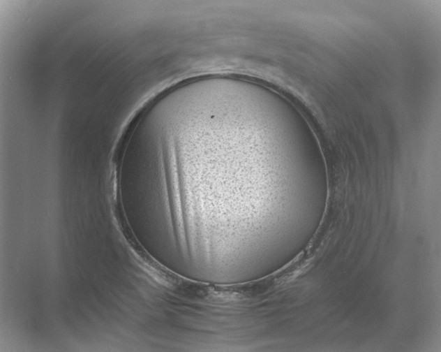 X0000072531509200607290211