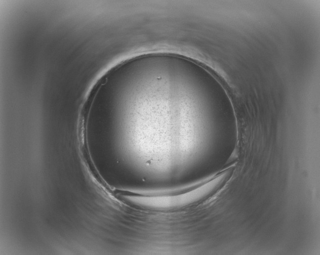 X0000072531510200607290211