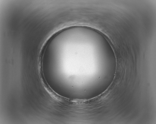 X0000072531511200607290211