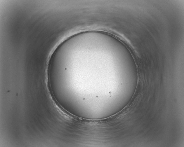 X0000072531512200607290211