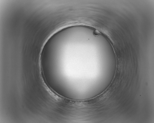 X0000072531516200607290211