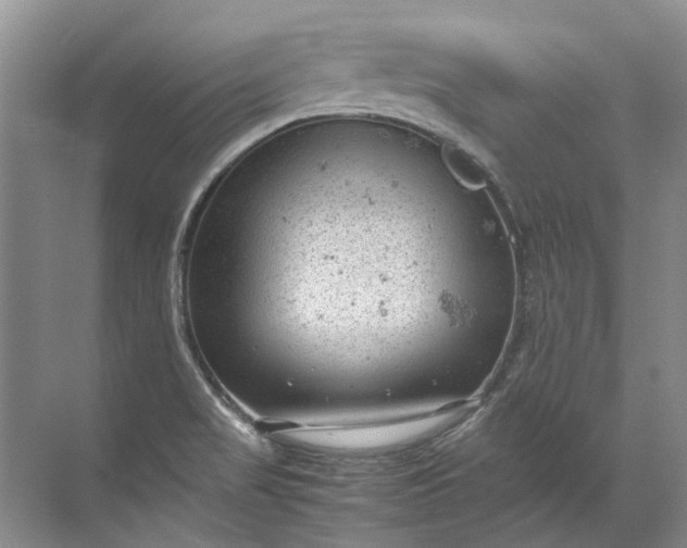 X0000072531517200607290211