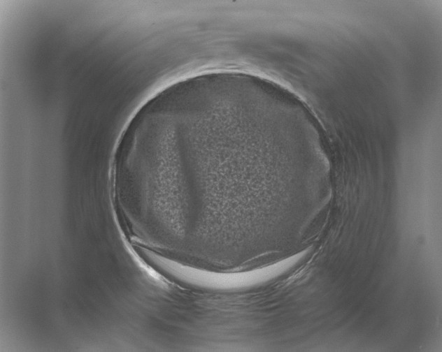 X0000072531519200607290211