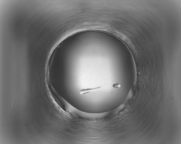 X0000072531520200607290211