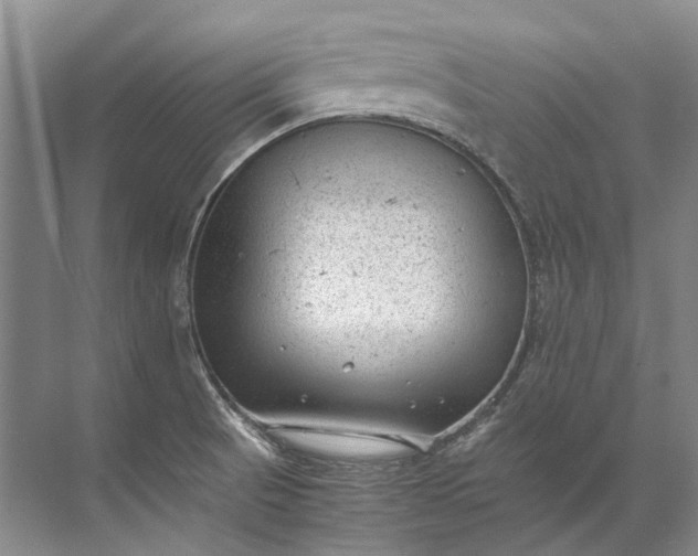 X0000072531521200607290211