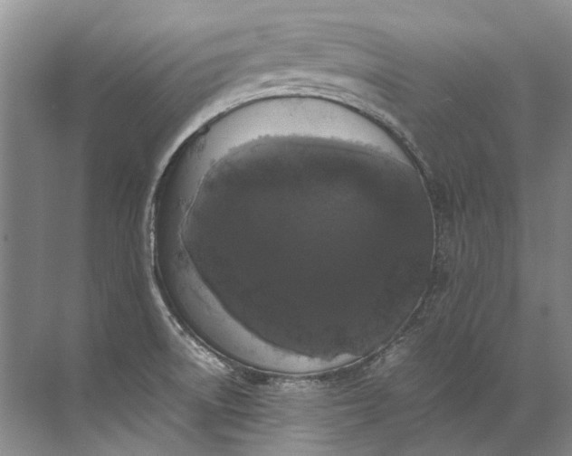 X0000072531522200607290211