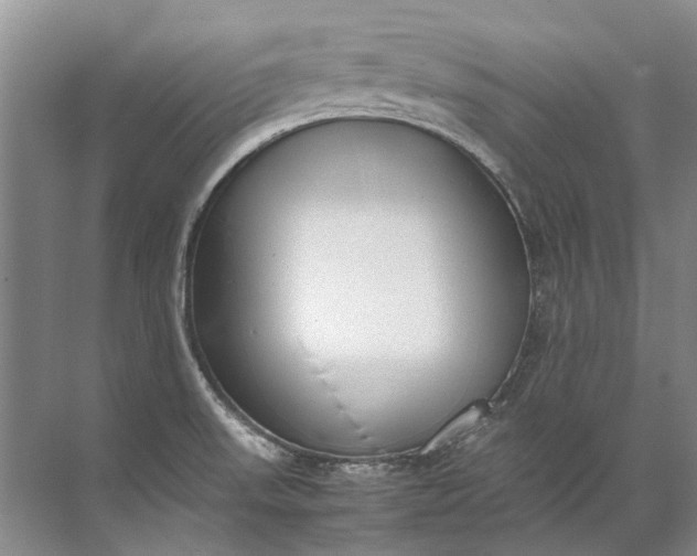 X0000072531523200607290211