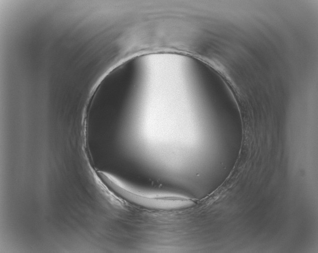 X0000072531524200607290211