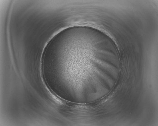 X0000072531525200607290211