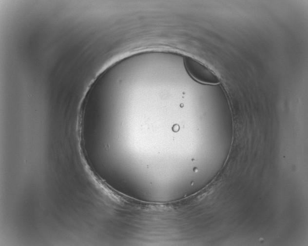 X0000072531526200607290211