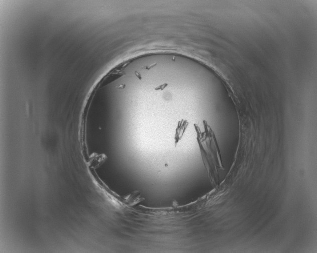 X0000072531527200607290211