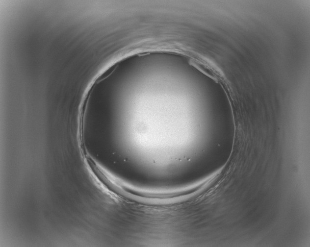 X0000072531528200607290211