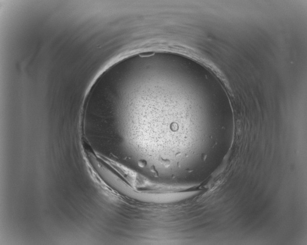 X0000072531530200607290211