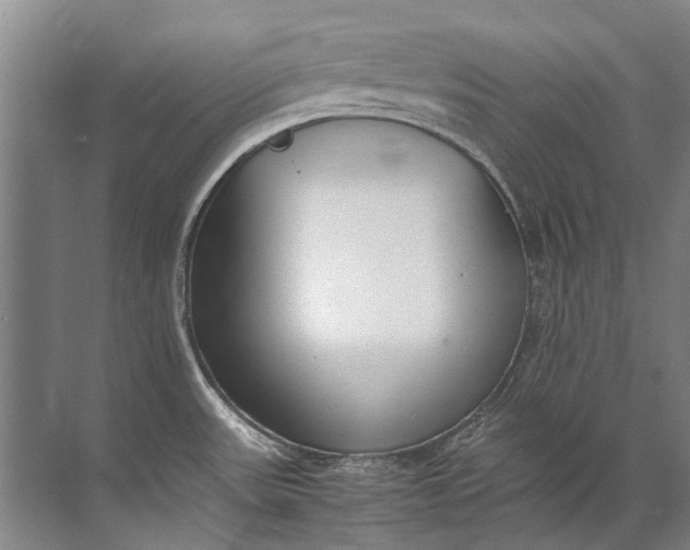 X0000072531531200607290211