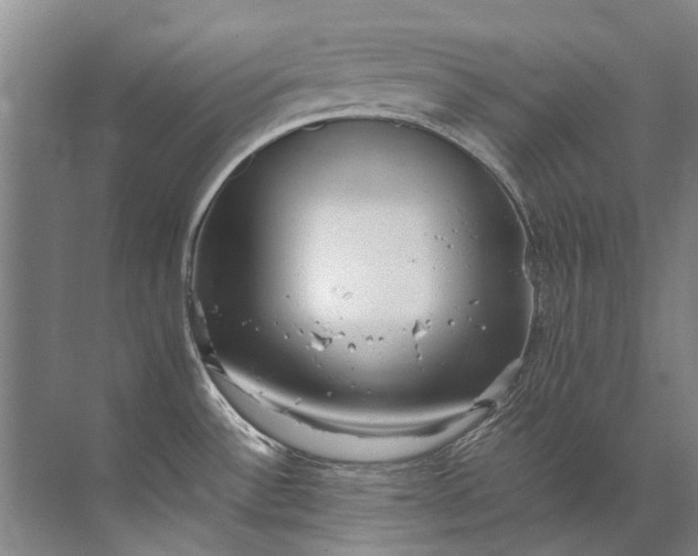 X0000072531532200607290211