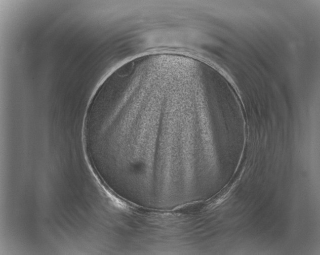 X0000072531533200607290211