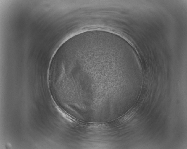 X0000072531535200607290211