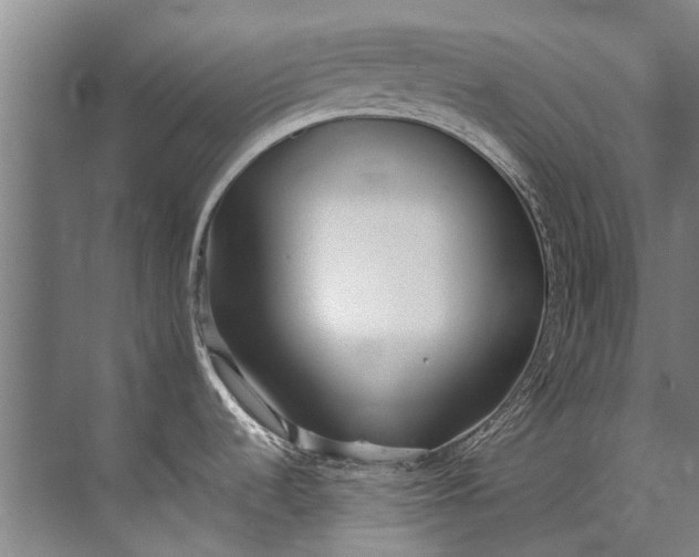 X0000072531536200607290211