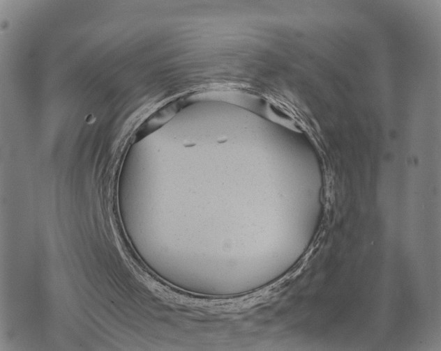 X0000072530001200608041609