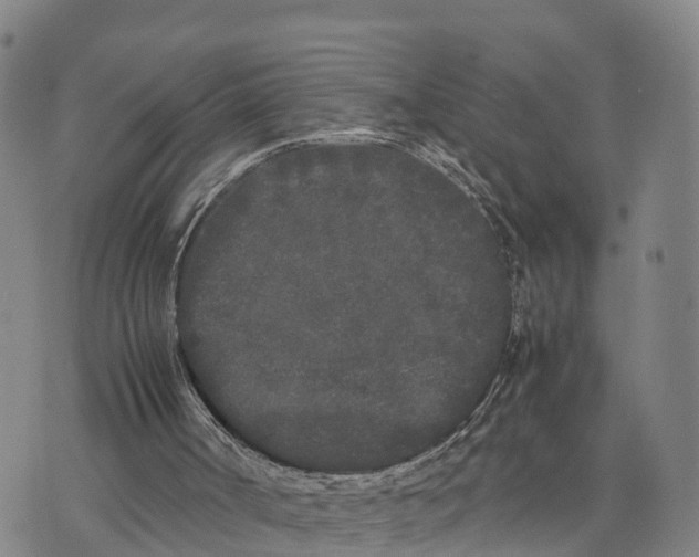 X0000072530002200608041609