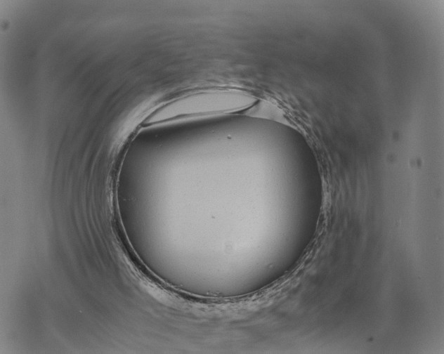 X0000072530005200608041609