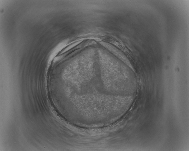 X0000072530006200608041609