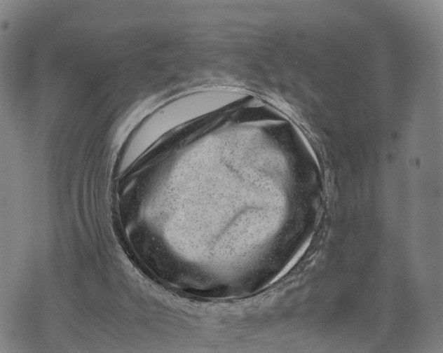 X0000072530007200608041609