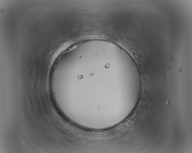 X0000072530008200608041609